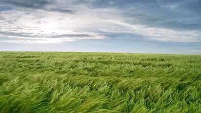 Life Management: किसान ने लड़के को काम पर रखा, लड़के ने कहा “जब तेज हवा चलेगी, तब मैं सोऊंगा”…क्या था इसका मतलब?