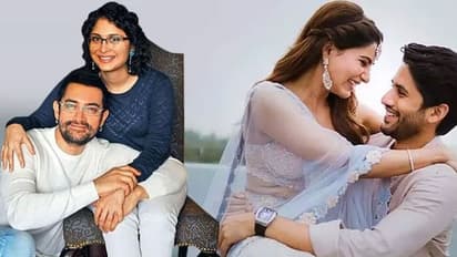 Roundup 2021: ఈ ఏడాదిలో విడాకులు తీసుకున్న సెలబ్రెటీలు వీళ్లే..!