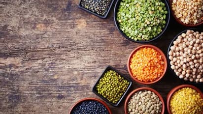 Weight Loss Diet : വണ്ണം കുറയ്ക്കാന്‍ ഡയറ്റില്‍ ഉള്‍പ്പെടുത്താം ഈ അഞ്ച് പയർ​വർഗങ്ങൾ...