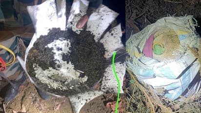 Major terror ploy foiled in Kashmir Valley; IED planted on roadside detected and destroyed