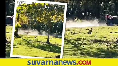 ಪ್ರವಾಸಿಗರ ವಾಹನವನ್ನು ಓಡಿಸಿಕೊಂಡು ಹೋದ ಘೆಂಡಾಮೃಗ... ವಿಡಿಯೋ ನೋಡಿ