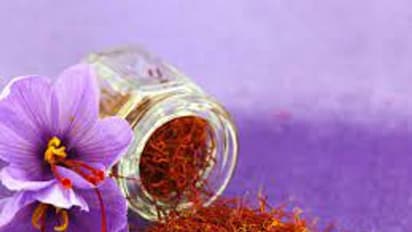 Find fake saffron: கர்ப்பிணிகளே உஷார்..! குங்குமப்பூவில் கலப்படமா...? கண்டறிவது எப்படி..?