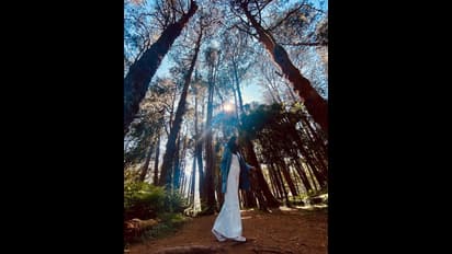 Vani Bhojan: காட்டுக்குள் துள்ளி விளையாடும் மான் குட்டி போல்... அழகாய் போஸ் கொடுத்து அசத்தும் வாணி போஜன்!