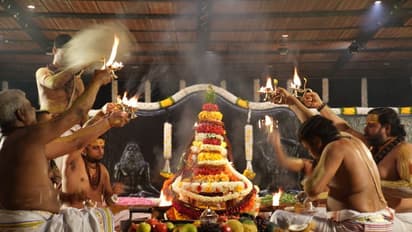 அகஸ்தியர் ஜெயந்தியை முன்னிட்டு யோகேஸ்வர லிங்கத்திற்கு சப்தரிஷி ஆரத்தி! காசியைச் சேர்ந்த 7 உபாசகர்கள் நடத்தினர்