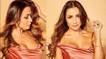 Malaika Arora is ‘shaken’ and had 'stitches' after the car accident; read details