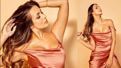 Malaika Arora is missing this in her life; what is the diva waiting for?