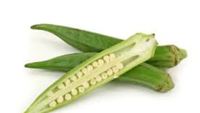 బెండకాయలను రోజూ తింటున్నరా? 