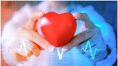 Heart Health : വായു മലിനീകരണം ഹൃദയാരോഗ്യത്തെ ബാധിക്കുമോ? ഡോക്ടർ പറയുന്നു