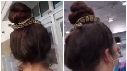 Viral Video: പാമ്പിനെ ഹെയർബാൻഡാക്കി മുടി ചുറ്റിക്കെട്ടി യുവതി; വെെറലായി വീഡിയോ