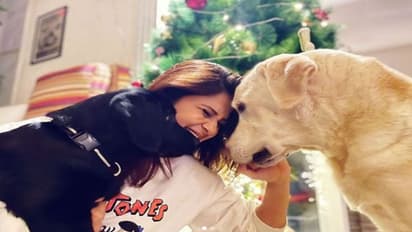 শুধু পোষ্যকে আদর করলেই হবে না, নিতে হবে সঠিক যত্নও, পেট কেয়ার টিপসের খুঁটিনাটি