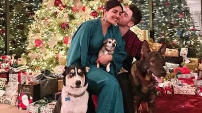 Check out Priyanka Chopra, Nick Jonas' Christmas celebration; couple pose with doggos