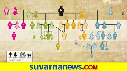 Oldest Family Tree: 5700 ವರ್ಷಗಳಷ್ಟು ಹಳೆ ಸಮಾಧಿಯಲ್ಲಿದೆ ವಿಶ್ವದ ಅತ್ಯಂತ ಹಳೆಯ ಕುಟುಂಬದ ರಹಸ್ಯ!