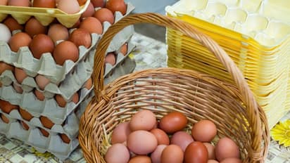 Product Storage Guideline-ডিমও চিকেনের দামের বাড়বাড়ন্ত,স্টক মজুতের ওপর সময়সীমা বেঁধে দিল কেন্দ্র