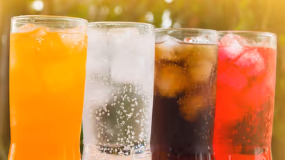 Healthy Kidneys :  വൃക്കകളെ ദോഷകരമായി ബാധിക്കുന്ന ചില ഭക്ഷണങ്ങൾ