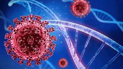 WHO warns soaring Omicron cases could raise chance of newer, severe strain