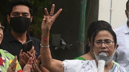 'আমাদের দল মা-মাটি-মানুষের দল', বৈভবের তৃণমূল ভবন চান না মমতা