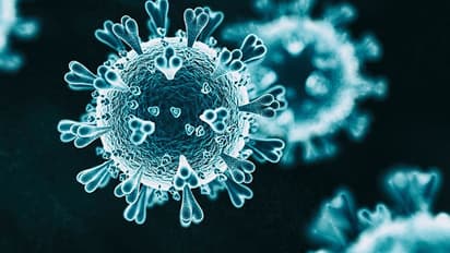 Covid 19 Variant: ಮಹಾರಾಷ್ಟ್ರದಲ್ಲಿ ಒಮಿಕ್ರೋನ್‌ ಸೋಂಕಿತ ಸಾವು: ದೇಶದಲ್ಲೇ ಮೊದಲು!