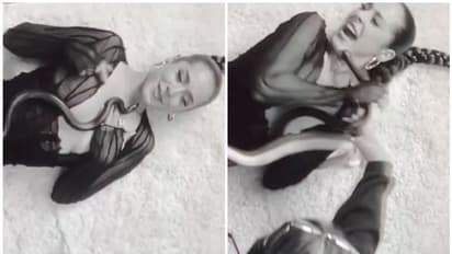 Snake Bite : രണ്ട് പാമ്പുകളും ഇഴഞ്ഞ് മുകളിലോട്ട് വന്നു, കെെ കൊണ്ട് പാമ്പിനെ എടുത്ത് മാറ്റി, പിന്നീട്...