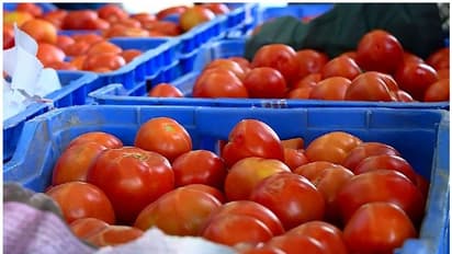 மகிழ்ச்சி செய்தி.. இனி குறைந்த விலையில் தக்காளி.. தமிழக அரசு எடுத்த அதிரடி..