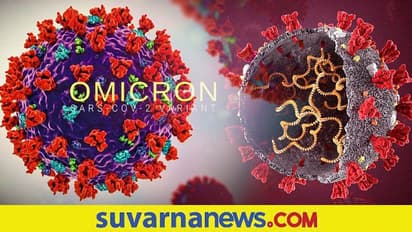 Omicron Threat : ರೋಗನಿರೋಧಕ ಶಕ್ತಿಯನ್ನು ತಪ್ಪಿಸಿಕೊಳ್ಳುವ ಸಾಮರ್ಥ್ಯ ಒಮಿಕ್ರಾನ್ ಗೆ ಇದೆ ಎಂದ INSACOG