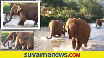 Emotional Video : ಆನೆ ಹಾಗೂ ಸಾಕಿದಾತನ ಅಪೂರ್ವ ಸಮ್ಮಿಲನ... ಮತ್ತೆ ಮತ್ತೆ ನೋಡುವಂತೆ ಮಾಡುವ ವಿಡಿಯೋ