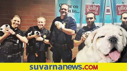 Christmas Gift : ದಾರಿಬದಿ ಬಿಟ್ಟಿದ್ದ ನಾಯಿಮರಿಗಳನ್ನು ದತ್ತು ಪಡೆದ ಪೊಲೀಸರು