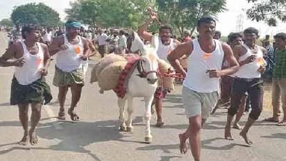 ಹೋಳಿಯಂದು ಈ ಊರಲ್ಲಿ ಕತ್ತೆಯ ಬೆನ್ನೇರಲೇಬೇಕು ಹೊಸ ಅಳಿಯ