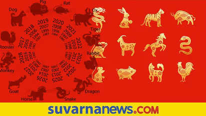Chinese Tiger year: ಚೈನೀಸ್ ಹುಲಿ ವರ್ಷದ ಭವಿಷ್ಯ, 2022 ನಿಮಗೇನು ತರಲಿದೆ?