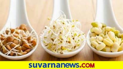 Protein Rich Food: ಆಹಾರದಲ್ಲಿ ಧಾನ್ಯಗಳ ಬಳಕೆ ಹೇಗಿರಬೇಕು..? ಯಾವ ಬೇಳೆ ಆರೋಗ್ಯಕ್ಕೆ ಉತ್ತಮ
