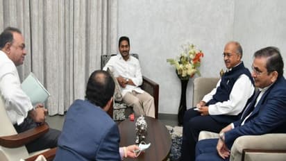 సీఎం జగన్ పై ఫార్మా దిగ్గజం దిలీప్ షాంఘ్వీ ప్రశంసలు... ఏపీలో భారీ పెట్టుబడులపై కీలక ప్రకటన (Video)