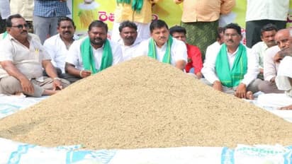 ఏపీలో రాజుకుంటున్న ధాన్యం కొనుగోలు వివాదం...అన్నదాతలతో కలిసి ధూళిపాళ్ల ఆందోళన (Video)