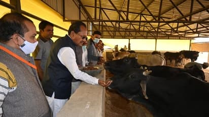 ಪ್ರತಿ ಜಿಲ್ಲೆಯಲ್ಲಿ ಗೋಶಾಲೆ, ಗೋಮೂತ್ರದಿಂದ ಸೋಪು, ಶಾಂಪು ತಯಾರಿ: ಸಚಿವ ಚವ್ಹಾಣ್!