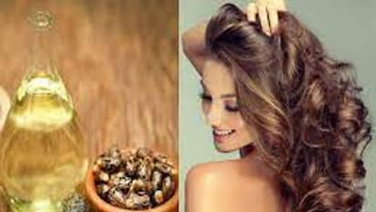 ಹರಳೆಣ್ಣೆ ಹೀಗೆ ಬಳಸಿದ್ರೆ ತಲೆ ತುಂಬ ಕೂದಲು ಸೊಂಪಾಗಿ ಬೆಳೆಯೋದ್ರಲ್ಲಿ ಅನುಮಾನವಿಲ್ಲ..