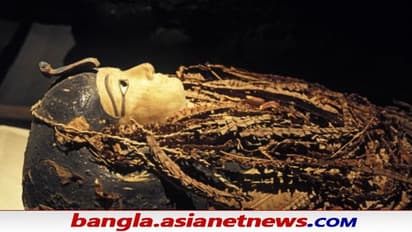 Egyptian Mummy Unwrapped: খোলা হল ৩৫০০ বছরের পুরোনো মমি, ভিতরে যা আছে দেখে অবাক মিশরীয় গবেষকরা