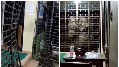 ഗ്രില്ല് തകര്ത്തു, വാതിലില് ഇടിച്ചു; പറമ്പിക്കുളത്ത് പൊലീസ് സ്റ്റേഷന് വിറപ്പിച്ച് കാട്ടാനക്കൂട്ടം