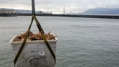 Business Idea- স্বল্প পুঁজি বিনিয়োগে মোটা আয়ের সুযোগ, শুরু করুন মৎস পালনের ব্যবসা, পেয়ে যান সরকারি সাহায্য