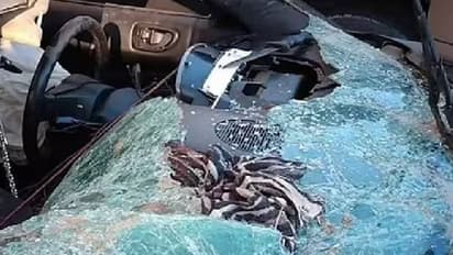 Lynnell McFarland : അപകടത്തിൽ പെട്ട കാറിനുള്ളിൽ അഞ്ചുദിവസം, കൊടുംതണുപ്പ്, അതിജീവിച്ചത് മഴവെള്ളം കുടിച്ച്