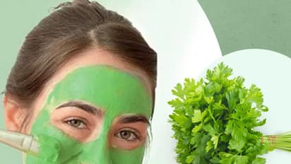ধনেপাতার গুণে ত্বক হবে উজ্জ্বল, ধনেপাতা দিয়ে বানাতে পারেন এই চারটি ফেসপ্যাক