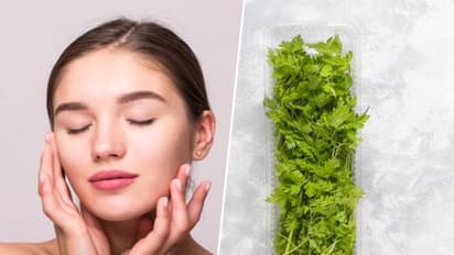 ভেষজের গুণেই বজায় থাকবে ত্বকের জেল্লা, রইল কিছু বিশেষ টিপস