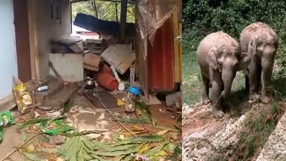 ജനവാസ മേഖലയിലേക്ക് എത്തിയത് ഏഴ് ആനകള്‍; കാട്ടാനയുടെ ആക്രമണത്തില്‍ വലഞ്ഞ് തോണ്ടിമല