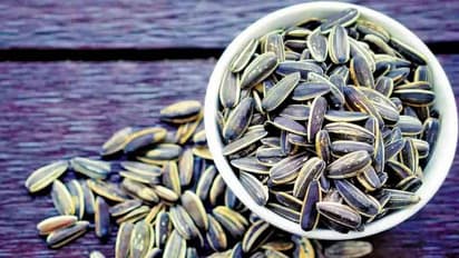 സൂര്യകാന്തി വിത്തിന് ഇത്രയും ഗുണങ്ങളോ ? എന്തൊക്കെയാണെന്നല്ലേ...