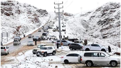 Snow fall in Saudi Arabia : മഞ്ഞ് പുതച്ച് തബൂക്ക്; ജബല് അല് ലൗസില് സന്ദര്ശകരുടെ തിരക്ക്