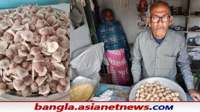 'বাংলাদেশের পাবনা থেকে মনোহরা আসে বাংলায়', স্মৃতির শহরে মালদহের বর্ষীয়ান মিষ্টি বিক্রেতা