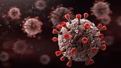 Covid 19 India: ഇന്ത്യയിൽ കൊവിഡ് തരംഗം ദിവസങ്ങൾക്കകമെന്ന് കേംബ്രിജ് കൊറോണ വൈറസ് ട്രാക്കർ