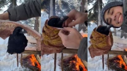 Viral Video: മഞ്ഞില്‍ തണുത്തു മരവിച്ചിരിക്കുന്ന കാക്കയെ കമ്പിളി പുതപ്പിക്കുന്ന യുവാവ്; വീഡിയോ വൈറല്‍