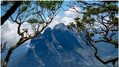 അഗസ്ത്യാർകൂടത്തേക്കൊരു സ്വപ്ന സഞ്ചാരം; 44 ദിവസം അവസരം, ബുക്കിംഗ് തുടങ്ങി, അറിഞ്ഞിരിക്കേണ്ട കാര്യങ്ങളുണ്ട്