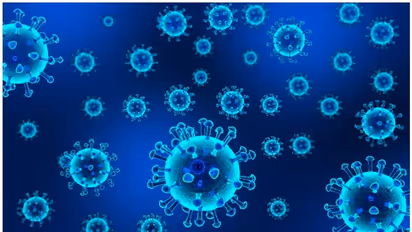 Karnataka Covid : കൊവിഡ് വ്യാപനം രൂക്ഷം; കർണാടകയിൽ കർശന നിയന്ത്രണങ്ങൾ