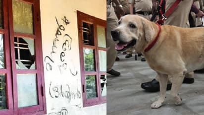 കുമരകത്തെ 'മിന്നല് മുരളി' പ്രയോഗിച്ചത് പൊലീസ് നായയെ വരെ വഴി തെറ്റിക്കുന്ന തന്ത്രം