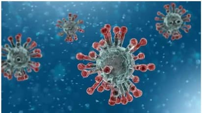 Covid Third Wave : കൊവിഡ് മൂന്നാം തരംഗത്തിൽ നിന്ന് രക്ഷനേടാൻ പ്രതിരോധശേഷി കൂട്ടാം; ചെയ്യേണ്ടത്...