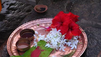 জ্যৈষ্ঠমাসে এই কাজগুলি করলে আপনার হাতে আসবে টাকা, এই মাসে কখনই বেগুন খাবেন না